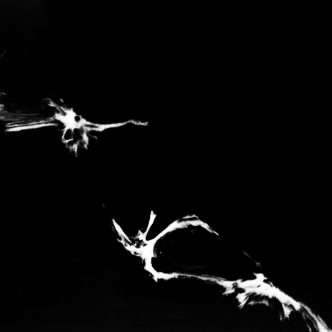 نايت ويف مضيئة 9034